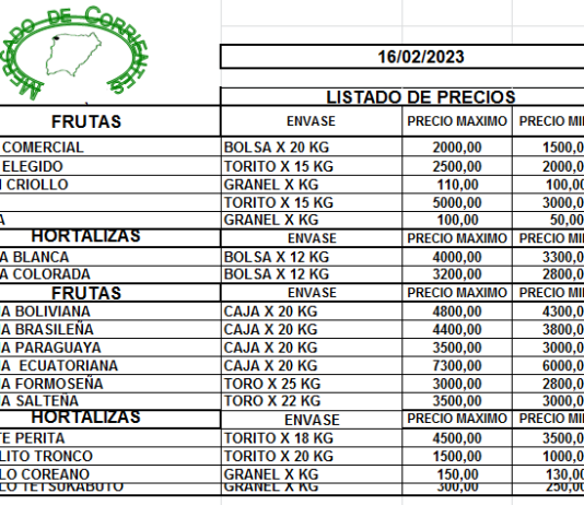 MERCADO DE CORRIENTES: Precios de FRUTAS y HORTALIZAS – 16/2/2023