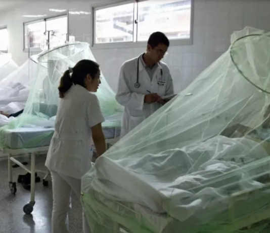 ALERTA DENGUE: Siguen en alza los casos y llaman a eliminar los criaderos del mosquito transmisor