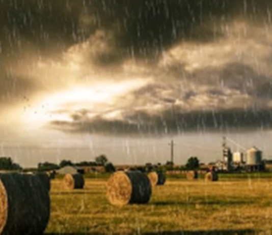CLIMA: El pronóstico del tiempo para el jueves en el país. ¿Dónde lloverá en la jornada?