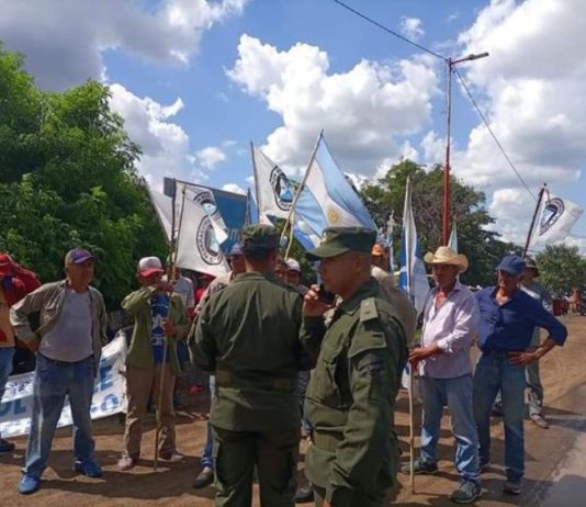 Los productores están en la ruta 11, acceso a Loyola de Clorinda