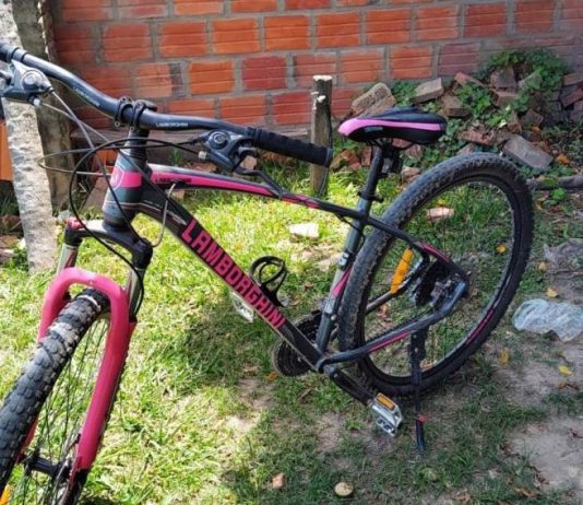LAGUNA BLANCA: La Policía y personal de Gendarmería Nacional, en forma conjunta, recuperaron una bicicleta y detuvieron al autor del hecho.