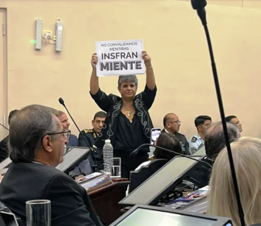 EN PLENA SESIÓN ORDINARIA. NEME: «No convalidamos las mentiras de Insfrán»