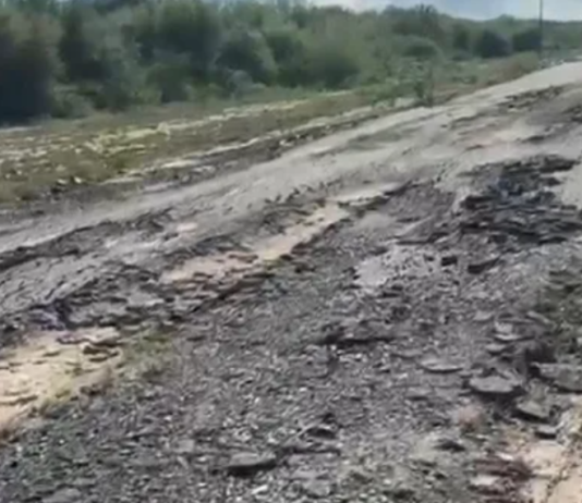 Carlos Lee habló “de las mentiras de Insfrán” y mostró la ruta 86 “totalmente destruida”