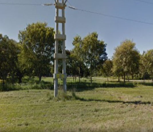 LAGUNA BLANCA: Detenidos por tala y robo de rollos de madera.