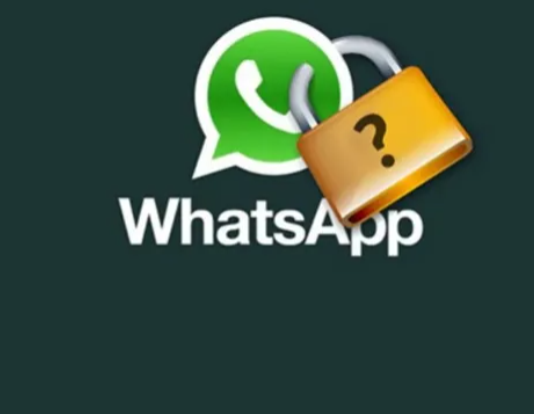 ALERTA POR ESTAFAS: Advierten robo de datos de Mercado Libre vía Whatsapp