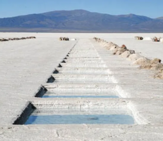 LITIO: Jujuy estima exportaciones por u$s 3.000 millones este año