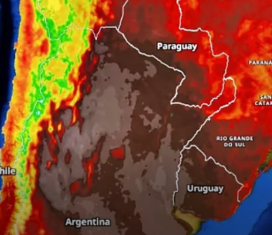 Alberto Fernández confió en que el Frente de Todos ganará las elecciones