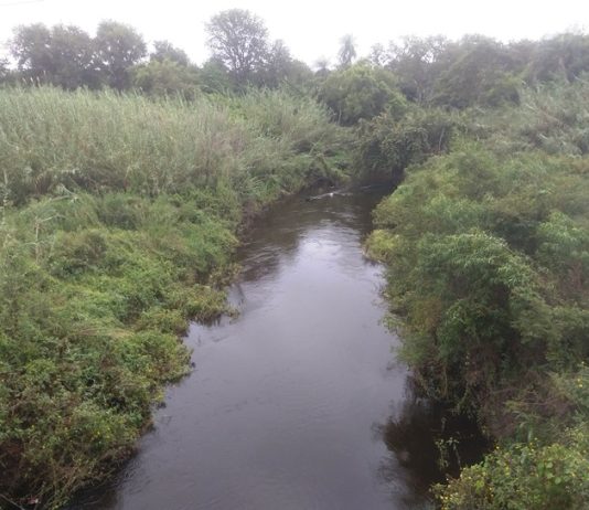 LAGUNA NAINECK: El agua de El Porteño es apta para riego