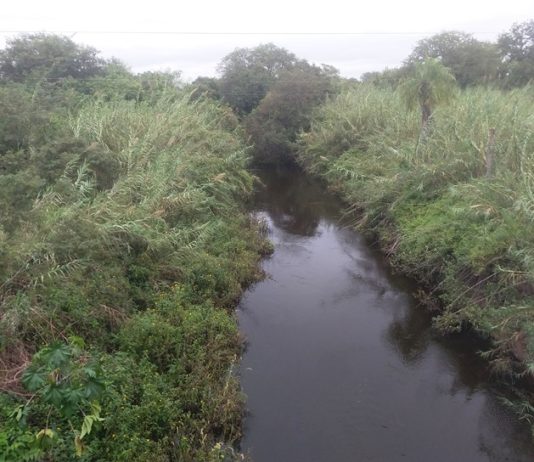 LAGUNA NAINECK: El agua de El Porteño es apta para riego