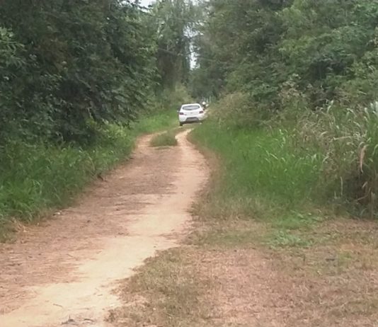 LAGUNA NAINECK: Reclamo vecinal desde B° La Picada por un camino en estado de abandono.