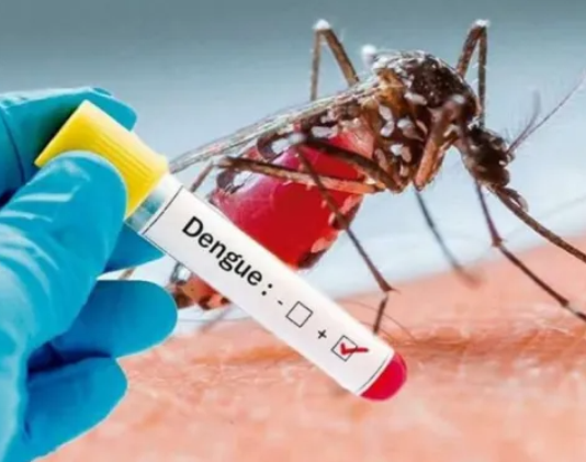 Se aguarda un pico por casos de dengue en la segunda quincena del mes de abril