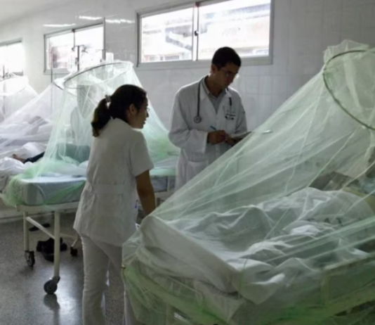 DENGUE: Cuáles son los riesgo ante la segunda infección.