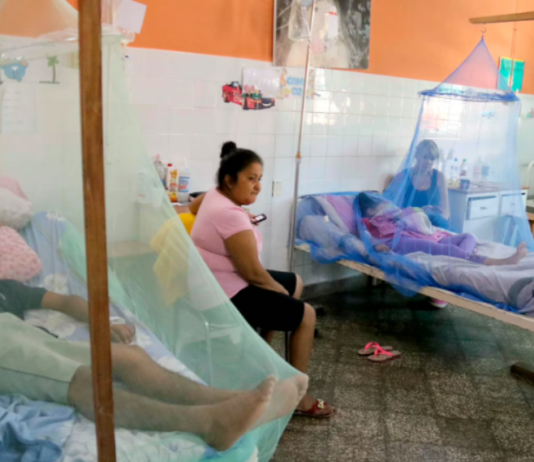 Tucumán es la provincia más afectada por el dengue con 7 muertes y más de 10.000 casos