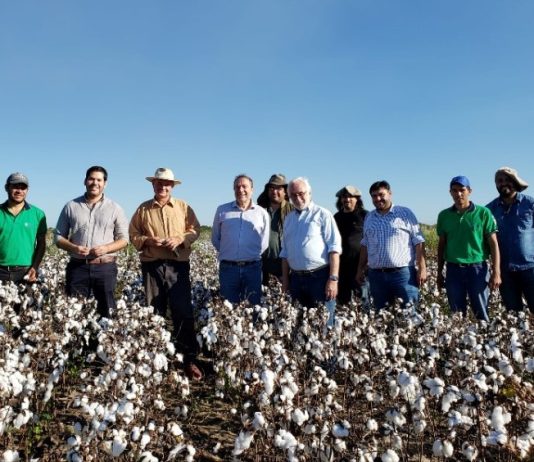 La Mesa Nacional Algodonera valoró la producción formoseña
