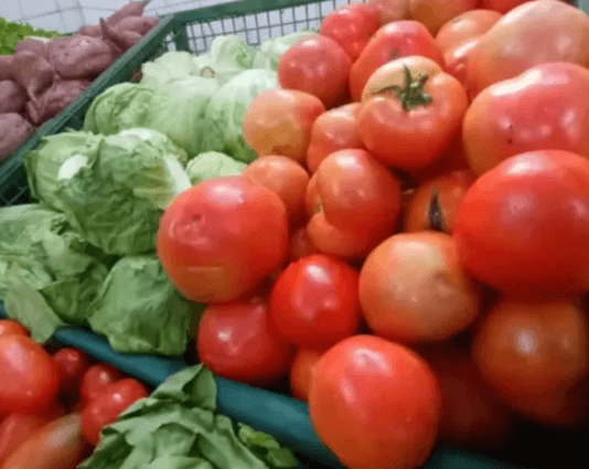 DEL TOMATE: El precio de la fruta volvió a subir y se paga hasta $1000 el kilo