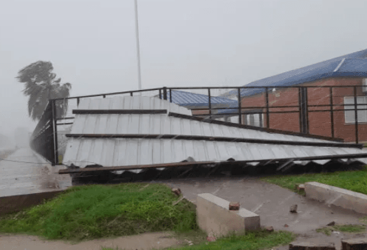 Granizo, vientos huracanados, caída de árboles, cortes de cable y más de 4 horas sin luz en gran parte de la ciudad