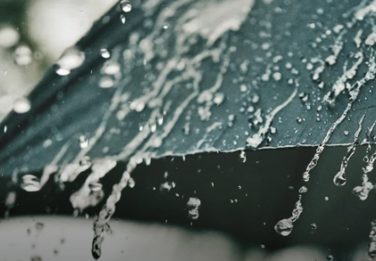 CLIMA. El pronóstico para el viernes: ¿Dónde estarán impactando las lluvias en la jornada?