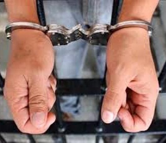 LAGUNA NAINECK: Detenido por el hurto de un celular.