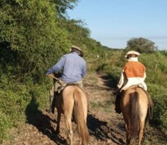 TRES LAGUNAS: Acciones preventivas por campos ganaderos.