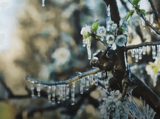 CLIMA. El pronóstico del tiempo para el miércoles en el país: Despliegue de heladas