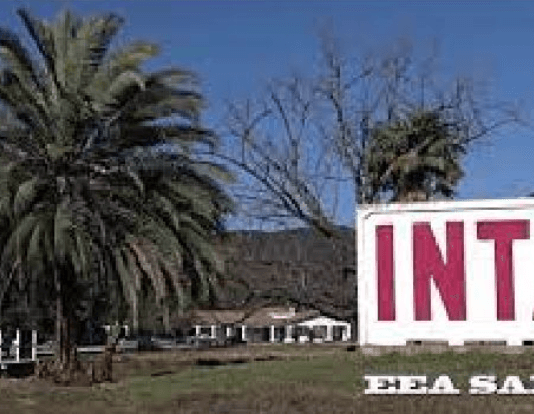 Por ahora, frenan un proyecto kirchnerista que quiere expropiar tierras al INTA