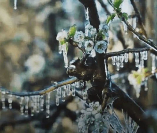 CLIMA. El pronóstico para el martes: Ambiente frío, con riesgo de heladas