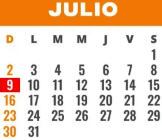 FERIADO DEL 8 DE JULIO: ¿hay fin de semana largo? ¿se mueve al lunes?