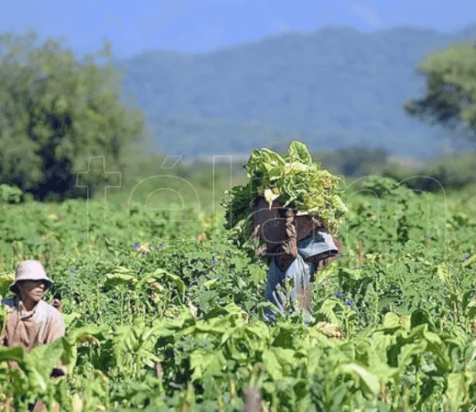 Presentaron proyecto de ley para compatibilizar planes y empleo