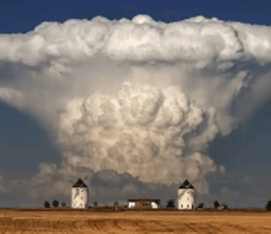 Las lluvias que traería el «Niño» serían clave para la campaña agrícola 2023/24