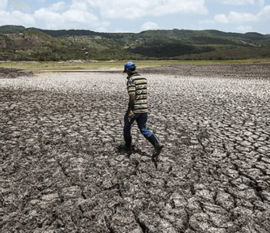 Comenzó el fenómeno El Niño a nivel global: alerta por calor extremo, sequías y otras alteraciones climáticas en 2023