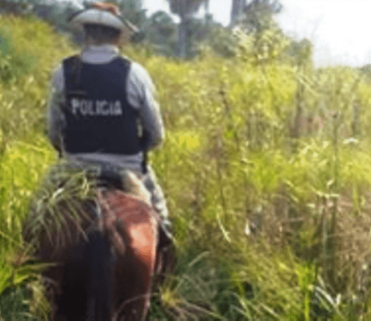 BUENA VISTA: Patrullajes y notificaciones a ganaderos por la zona rural