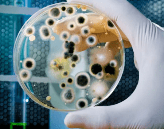 Informan una nueva muerte por la bacteria de la faringitis