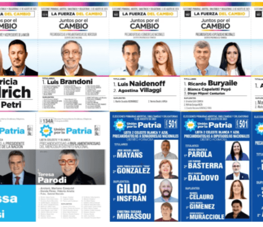 PASO 2023: Se oficializaron las boletas que aparecerán en los cuartos oscuros de Formosa