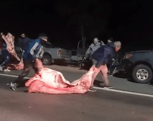 SAN LUIS: Volcó un camión con más de 20 mil kilos de carne y los vecinos los saquearon