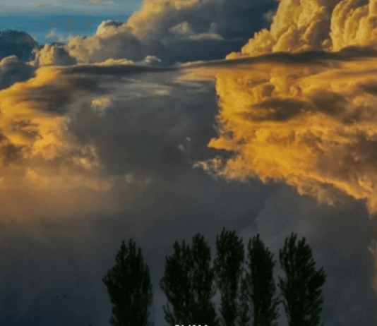 CLIMA. El pronóstico del tiempo para este miércoles: Viento rotando al sur