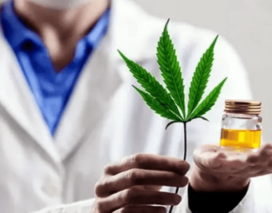 CANNABIS MEDICINAL: Qué tratamientos podrán beneficiarse con la reglamentación