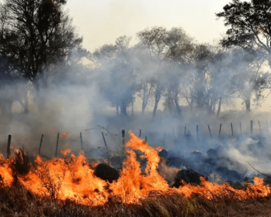 Brindan recomendaciones para prevenir incendios