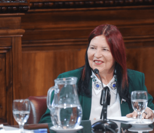 SENADO: Juntos le exige a Cristina Kirchner que «archive» el pliego de la jueza Ana María Figueroa