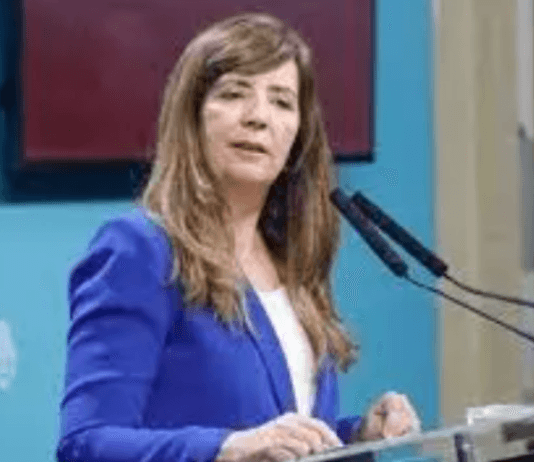 El fiscal Marijuan imputó a Gabriela Cerruti por omisión de denuncia e incitación a la violencia tras los saqueos