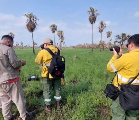 LAGUNA BLANCA: Policía Federal investiga las causas de los incendios en el Parque Nacional “Río Pilcomayo”.