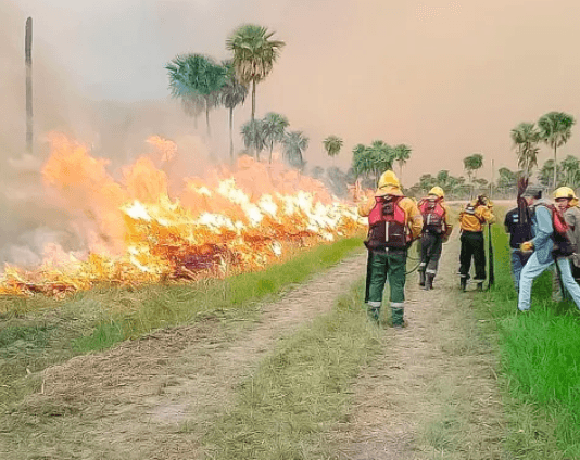 LAGUNA BLANCA: Bomberos extinguieron un incendio de grandes proporciones en Estero Poí