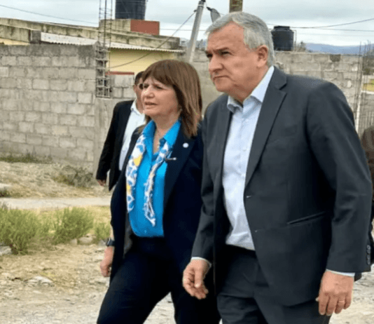 «Soy un soldado de Patricia». Morales dijo que el 100% de la UCR acompaña a Bullrich y negó que vaya a integrar un gabinete de Massa