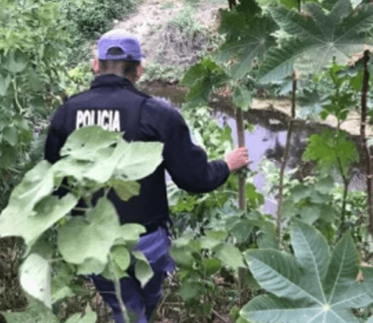 SIETE PALMAS: La Policía evitó la sustracción de una motocicleta, gracias a la participación ciudadana