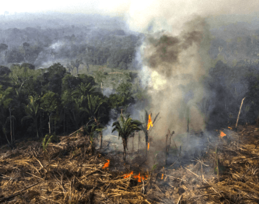 UNA PESADILLA SIN FIN: Se disparan los incendios en la Amazonía brasileña