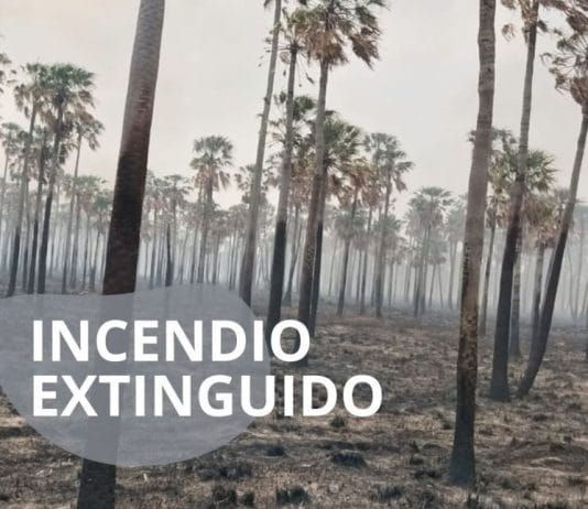 Parque Nacional «Rio Pilcomayo»: «El incendio ya se encuentra extinguido»