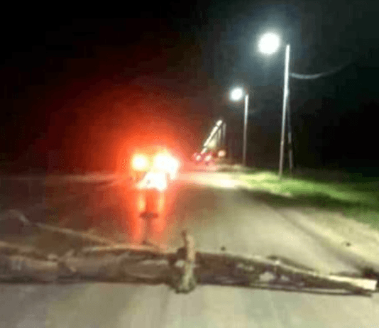 LA PRIMAVERA: Originarios iniciaron un corte total de la Ruta Nacional 86