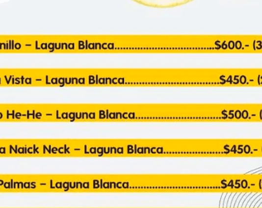 LAGUNA BLANCA: nformaron horarios y precios de los servicios de transporte público disponibles para la Fiesta del Pomelo