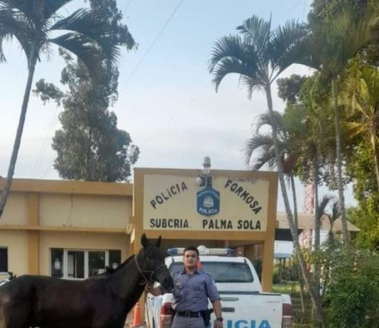 PALMA SOLA: Hecho de abigeato en colonia El Paraíso con secuestro de equino