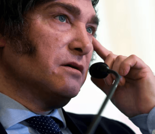 “Antes de que salga de control”: duras críticas de economistas tras los dichos de Javier Milei contra el peso