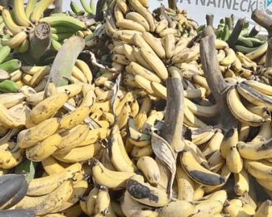 LAGUNA NAINECK: Productores regalaron bananas y reclamaron aporte no reembolsable